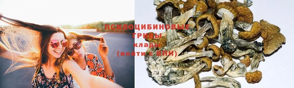 кокаин премиум Бородино