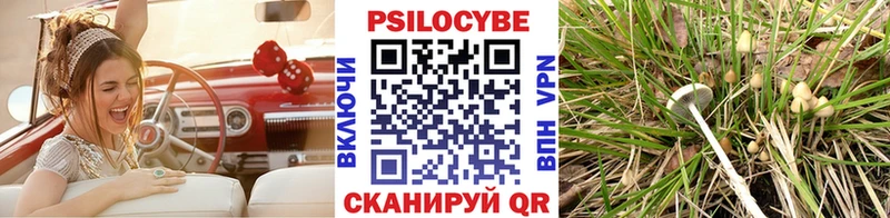 ссылка на мегу зеркало  Лобня  Галлюциногенные грибы MAGIC MUSHROOMS 